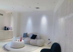 -紫御国际抗衰ZOE ANTI AGING