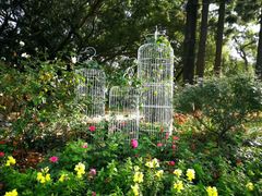 -人民公园(罗湖区)