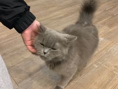 -塔拉苏咖啡(中信丹阳花园店)