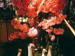 -胡桃里音乐酒馆(大沥店)