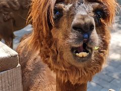 -水上乐园·欢乐世界