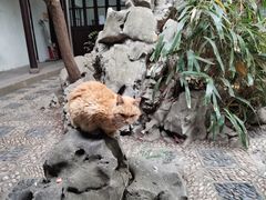 -西园戒幢律寺