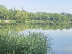 -北坞公园