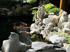 -鲤院·新中式美学·庭院餐厅(夫子庙店)