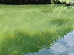 -三峡人家风景区