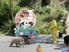 -洛阳花果山景区