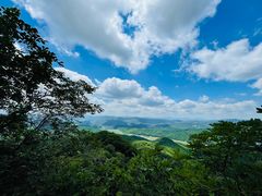 -天女山森林公园