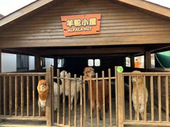 -太阳岛度假酒店