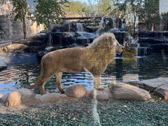 -北京野生动物园