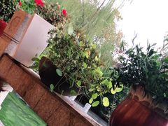 -吴越荣记苏州菜·松鼠桂鱼100%活鱼现做(斜塘老街店)