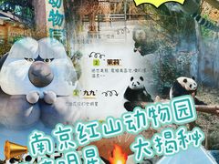 -红山森林动物园