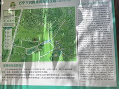 -兴隆隆苑咖啡庄园