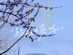 -八大处公园
