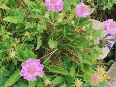 -白草畔自然风景区