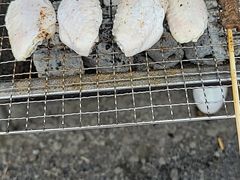 -同銮特种养殖场·龙虾垂钓