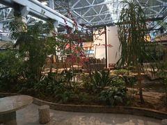 -森谷美食公园(杨行店)