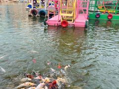 -郑州方特梦幻王国