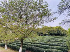 -浙江科技大学(小和山校区)
