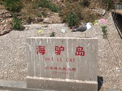 -海驴岛(荣成市)