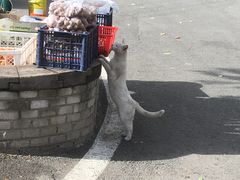 -瓦厂酒店