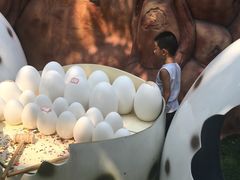 -朝阳公园游乐园