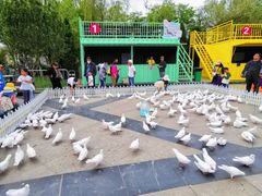 -泰达航母主题公园