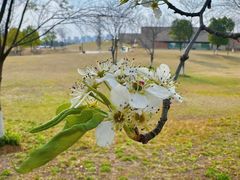 -盘龙城国家考古遗址公园