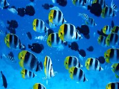 -福州罗源湾海洋世界旅游区