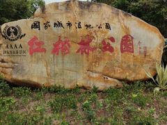 -大亚湾红树林城市湿地公园