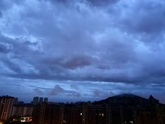-合肥滨湖国家森林公园