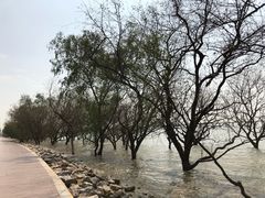 -宝安西湾红树林湿地公园