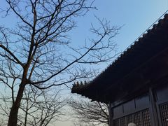 -重庆园博园