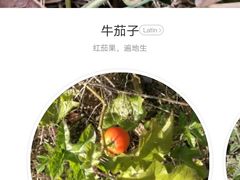 -潜山国家森林公园