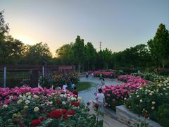 -坝河休闲公园
