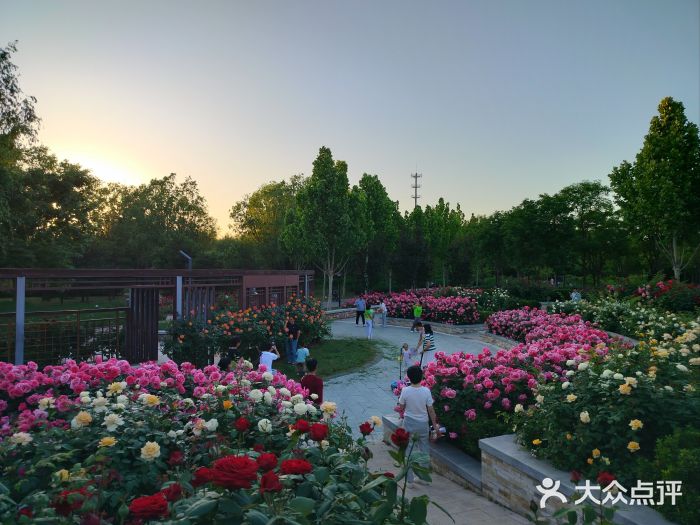 坝河休闲公园图片