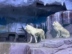 -多彩贵州城极地海洋世界