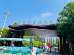 -黄海国家森林公园