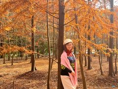 -上海海湾国家森林公园