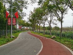 -上海长兴岛郊野公园