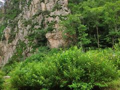 -大连天门山国家森林公园