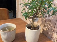 -CURRY YA 熟成咖哩專門店(深圳湾万象城店)
