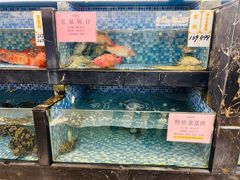 -金塘胜宴(石湾店)