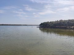 -南大港湿地风景区