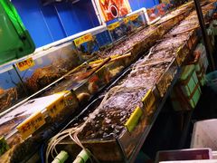 -四海之家(蛇口店)