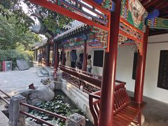 -戏马台景区