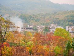 -塔川景区