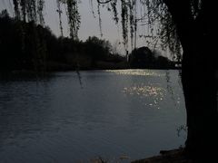 -苏州湾体育公园