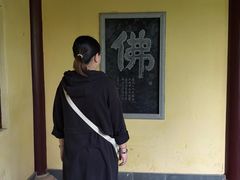 -庐山风景名胜区-东林大佛