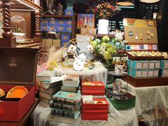 -布兰兔的植物庄园(杭州南宋御街店)