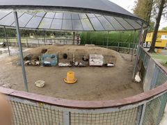 -前小桔亲子创意农场·草莓采摘·露营烧烤